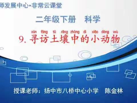 永胜中心小学网络视频课