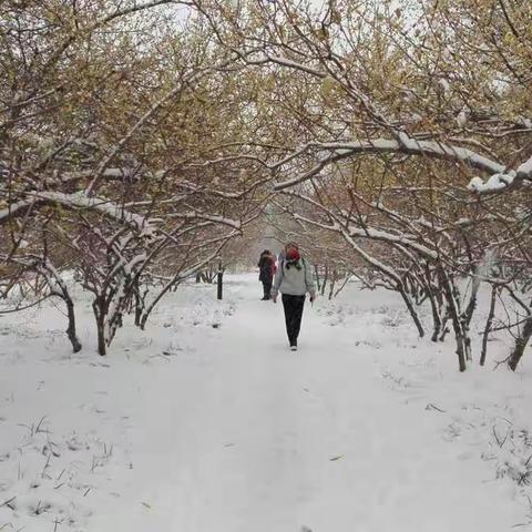 不与百花争斗艳，傲雪凌风吐芬芳。