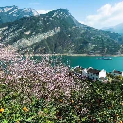 每日一景|湖北秭归：花美果丰乡村美