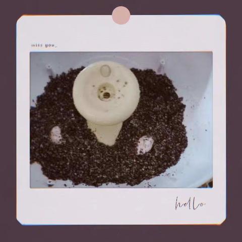 科学观察日记-小乌龟孵化观察日記