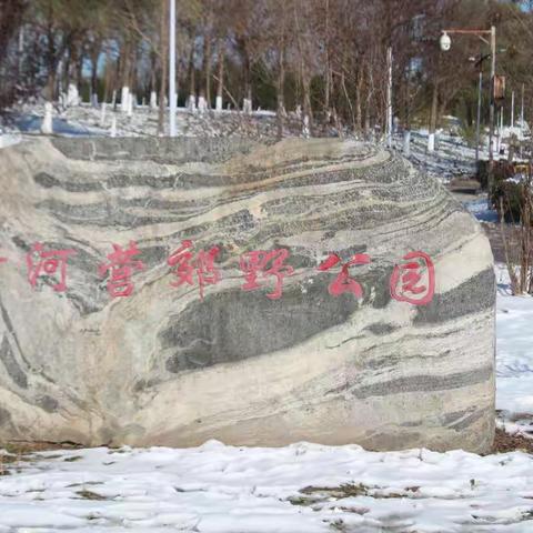 2021  北京立冬的第一场雪