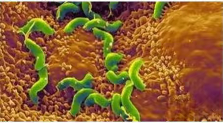 三氧小课堂:三氧奶的临床应用