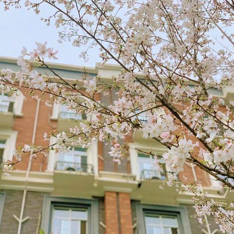 【芦外】温暖的教育，温暖的坚持——记芦外中学教师培训案例分享（一）