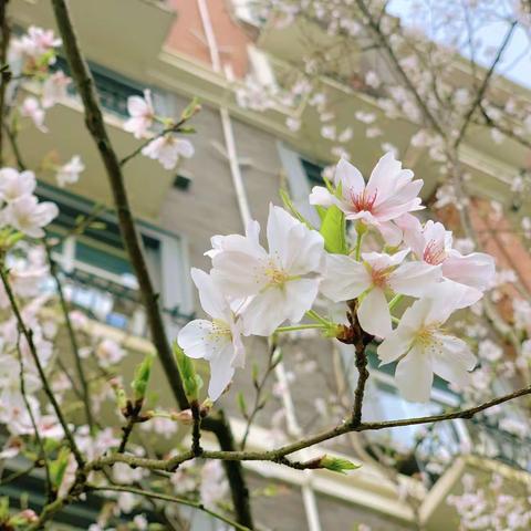 【芦外】自由有趣的魂，温柔细腻的心——感谢有您，柳南杉老师
