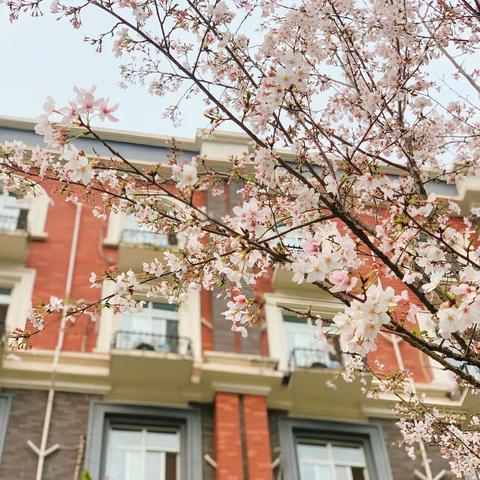 【芦外】温暖的教育，温暖的坚持——记芦外中学教师培训案例分享（九）