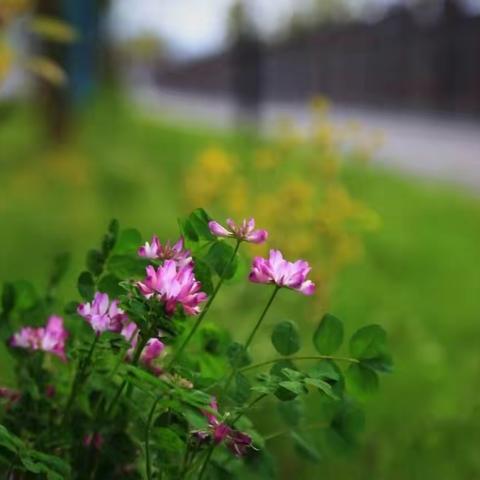 【芦外】严阵以待，做好开学准备工作