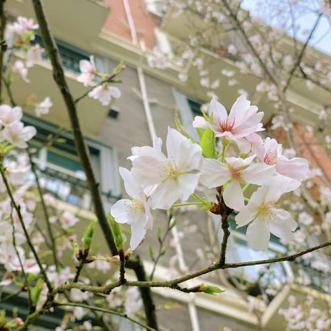 【芦外】温暖的教育，温暖的坚持——记芦外中学教师培训案例分享（七）