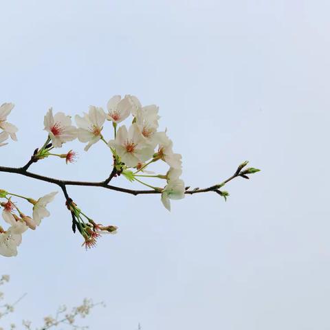 【芦外】温暖的教育，温暖的坚持——记芦外中学教师培训案例分享（四）
