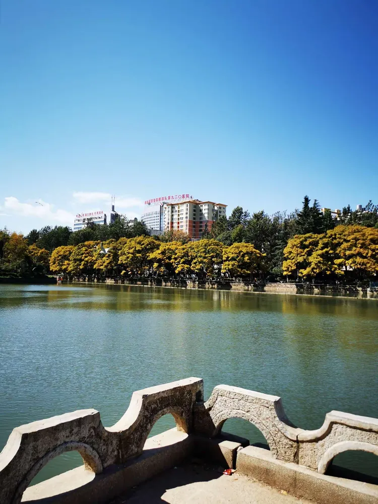 大观秋色一一2019.10.30