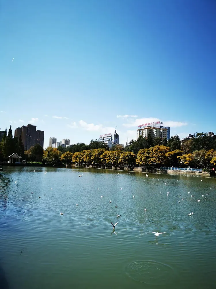 大观秋色一一2019.10.30