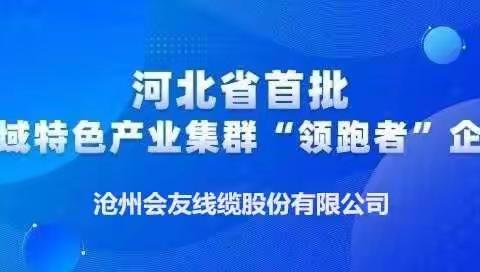 公司获得河北省县域特色产业集群“领跑者”企业荣誉