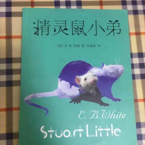 朝阳实验小学家庭读书会――四年九班 宋泊霖