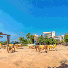 【亲子活动】全家人的快乐，就是来鼎龙湾做个滨海田园诗人