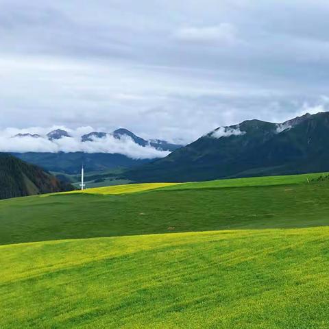 相约大西北    爱在高原上