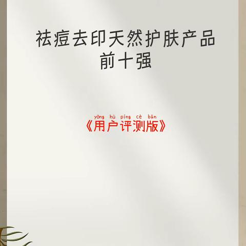 祛痘去印天然护肤产品前十强