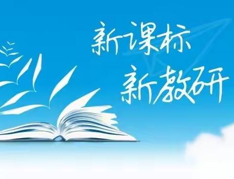 “学习新课标  探索新课堂”湛河区南环路小学新课标学习考试系列活动纪实