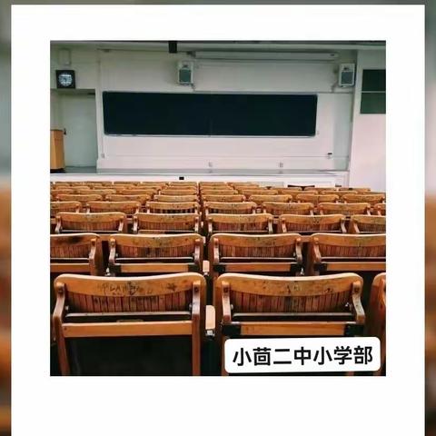 “疫”样时光，“云”上成长——小茴二中小学部线上教学纪实