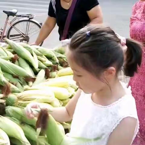 暑假生活体检篇————我和爷爷奶奶逛菜市场😝