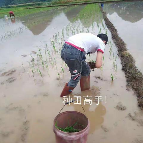 我的假期我作主（假期里的新阳少年军2）