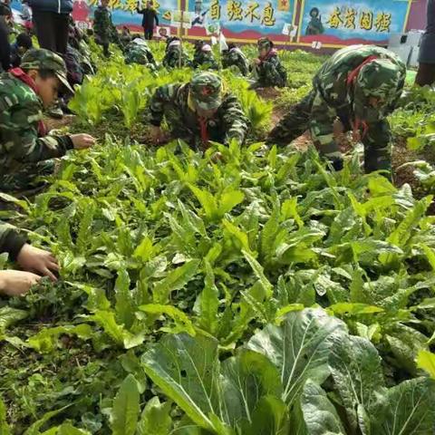 农民的子孙不忘本