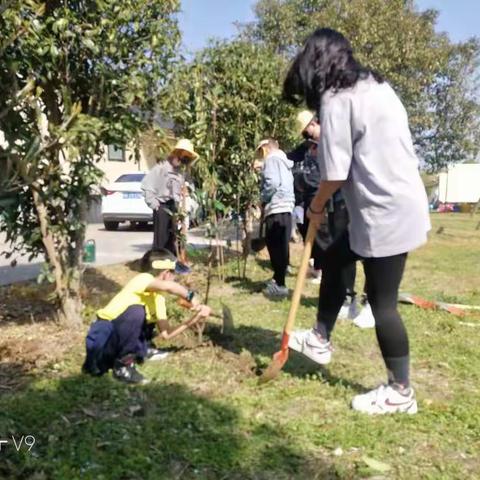 适合植树节主题团建的地方 选上海乐活营地