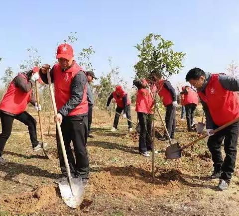 植树踏春主题团建攻略 选上海乐活营地