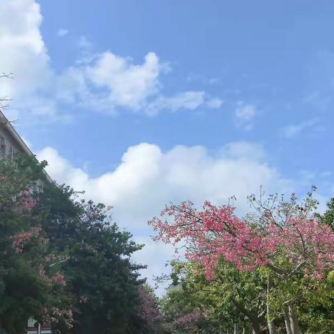 家校合力，共育未来——记2021级奥校初一（1）班第一学期家长会
