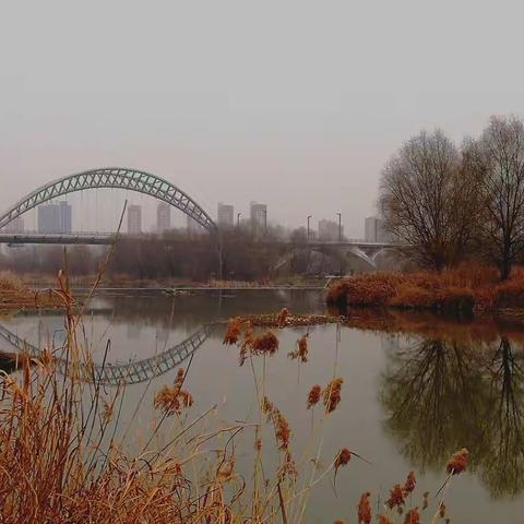 冬天里的洛河畔