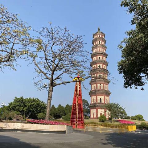 莲花开处海鸥飞