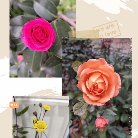 爱动手   AI体验---西工区外国语小学“约未来人工智能中心”体验课