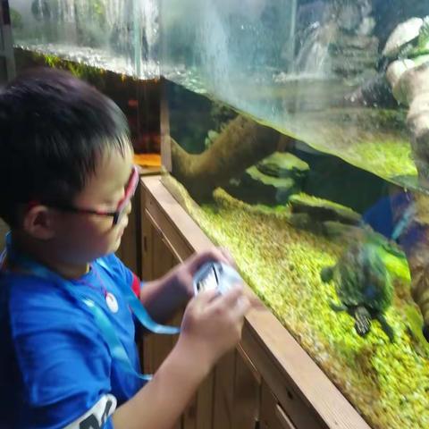 以和为贵的美篇