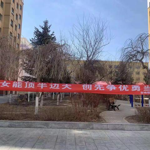 3❤️8美丽女神节