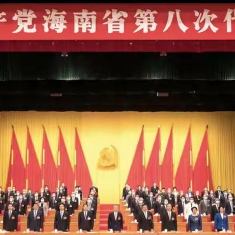 中共崖州区行政审批局支部组织观看中国共产党海南省第八次代表大会开幕式。