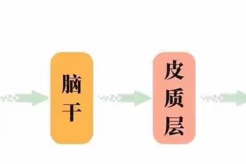 感觉统合巧比喻