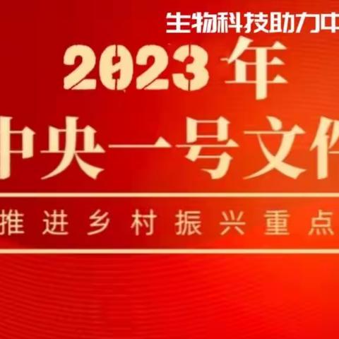 学习2023中央一号文件