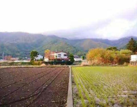 从田间到市场到餐桌