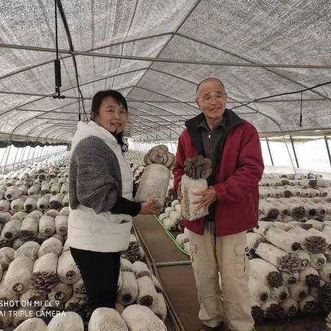 日本花甲专家欣苗农业初体验