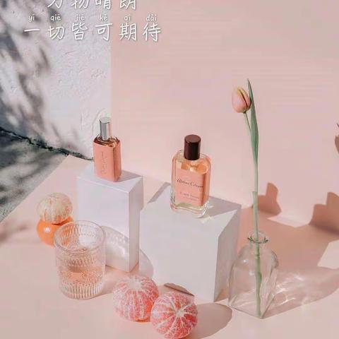 果粒🌙历史组工作日记5