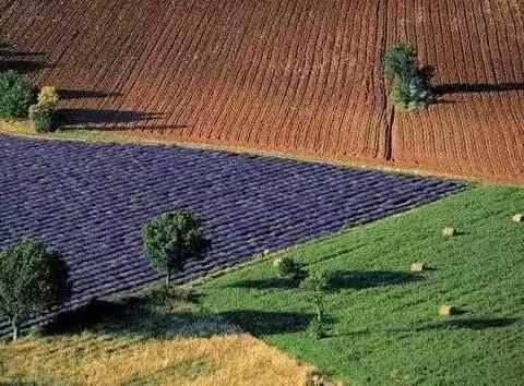 果粒☀️历史组工作日记10