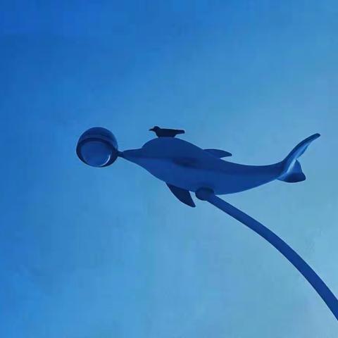 果粒🌸历史组工作日记6