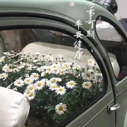 果粒🌟历史组工作日志3