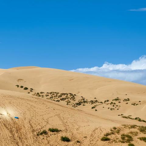 穿过原野的风 拍摄地点：海晏青海湖东部沙丘 拍摄时间：2023年8月20日
