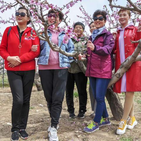 春的气息，花的呼唤。摄影：星图，拍摄地点：青海民和、乐都小寨，拍摄时间：2021年4月17日