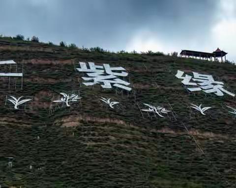 西宁市 第五届千紫园，            文化旅游艺术节