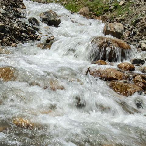 寂静的森林，摄影：星图，拍摄地：青海湟中县境内，拍摄时间：2021年6月5日