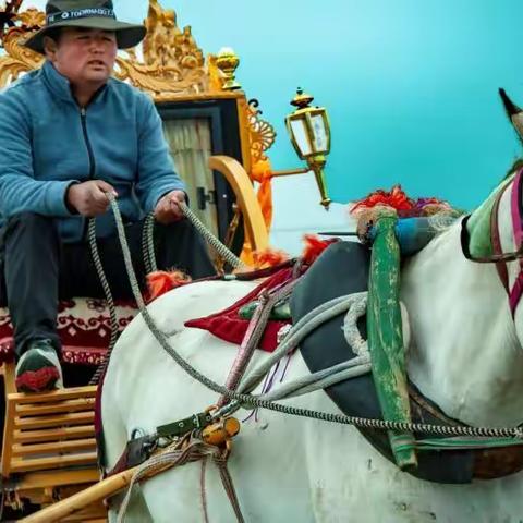 花海三套车，门源景致别。