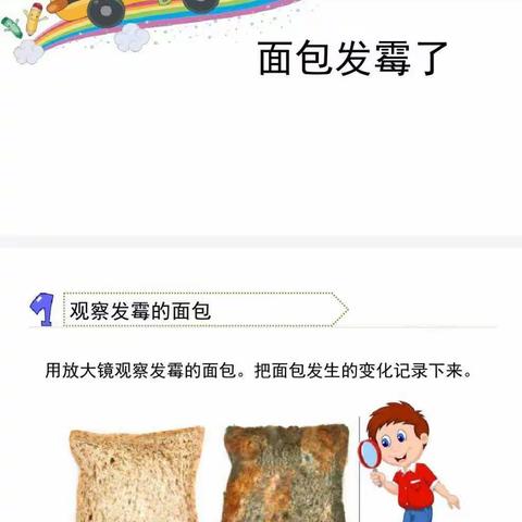 面包发霉的条件