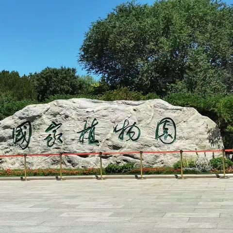 凤的美篇