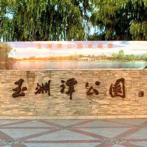 玉渊潭公园赏樱花