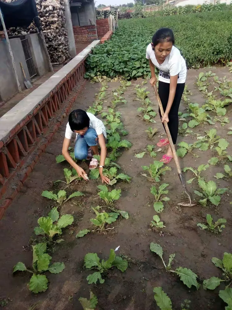 农忙时节我帮忙（范艳旭和赵安迪）